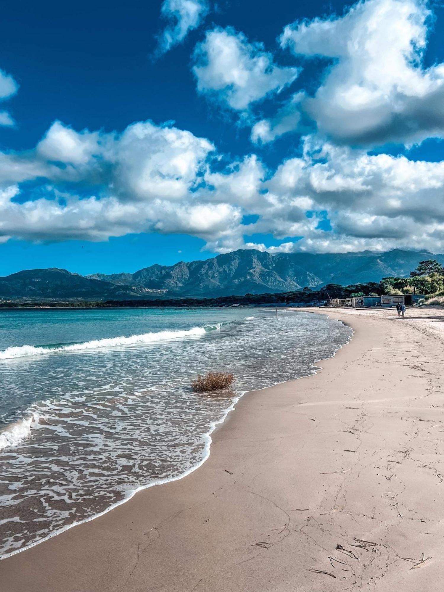 Villa Valentin 2 Chambres Avec Jardin A Calvi カルヴィ エクステリア 写真